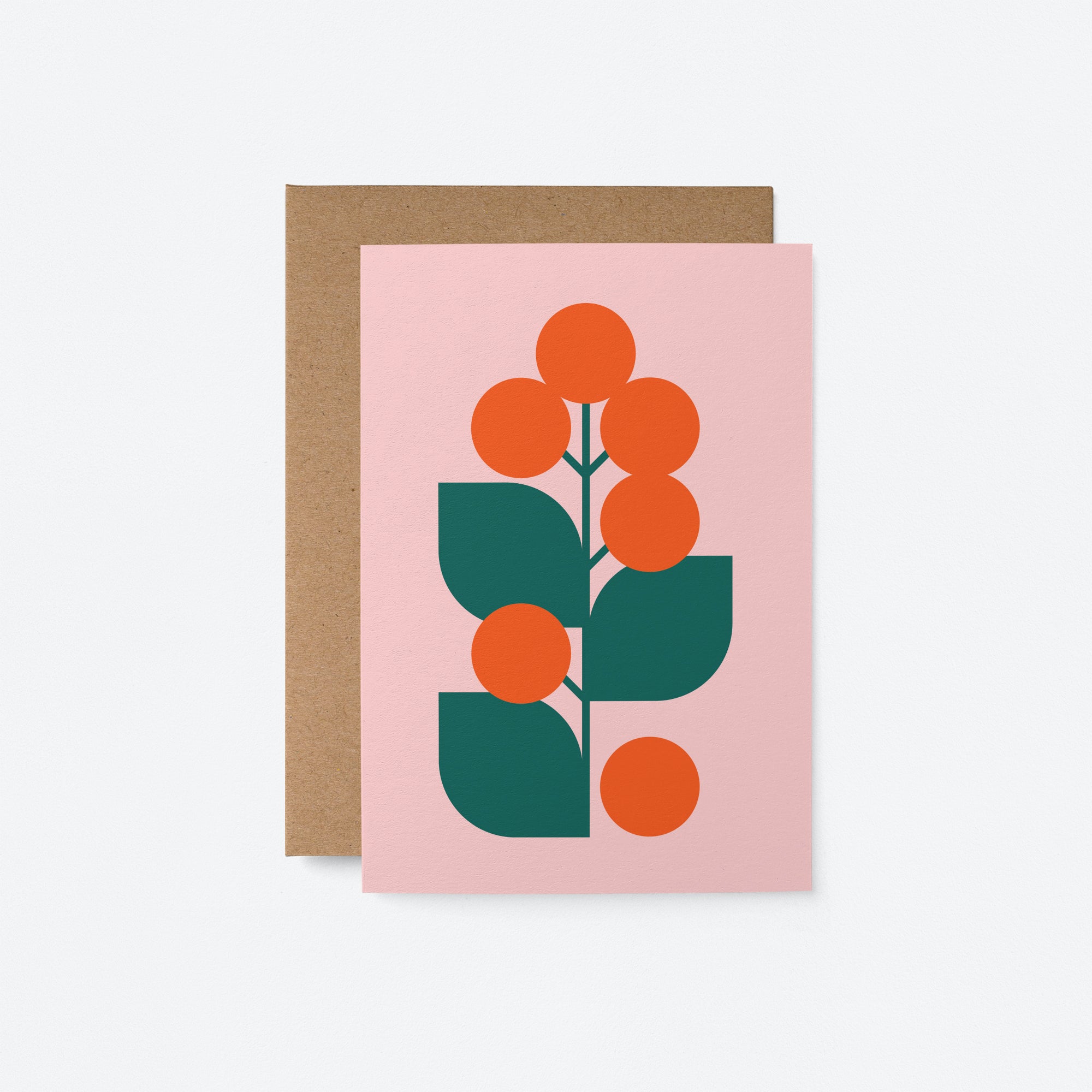 Surprise Pack of 5 Flower Cards - Blank